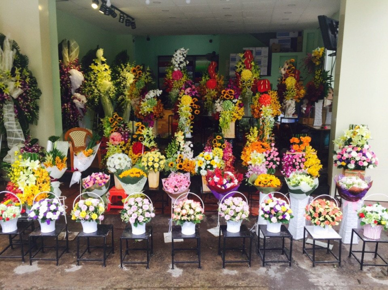 Shop Fresh Flowers TP. Hoi An Quang Nam