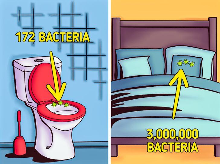 The bed is a hiding place for bacteria