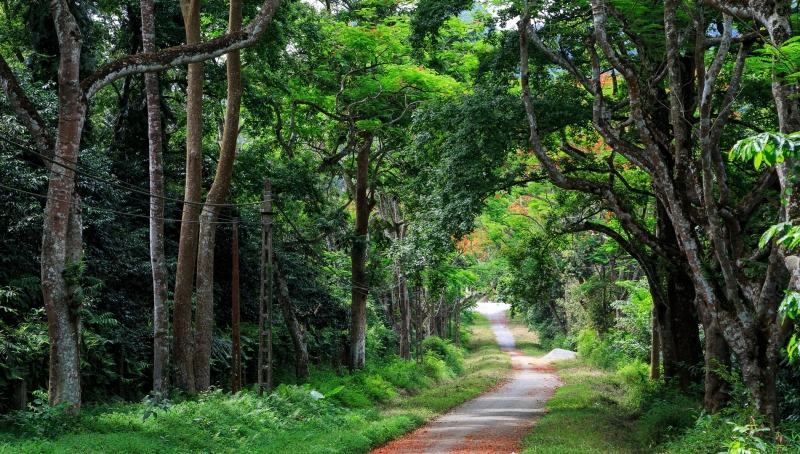 Ba Vi National Park