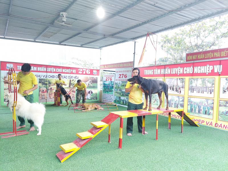 Professional Dog Training Center 276