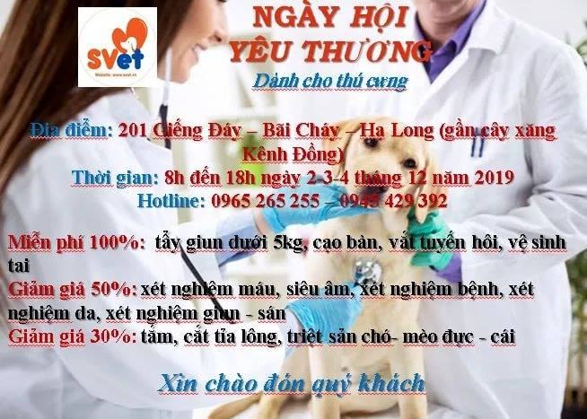 SVET Quang Ninh Veterinary Hospital - Dr Hiep ﻿