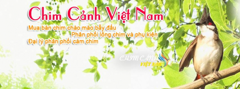 Vietnam Birds