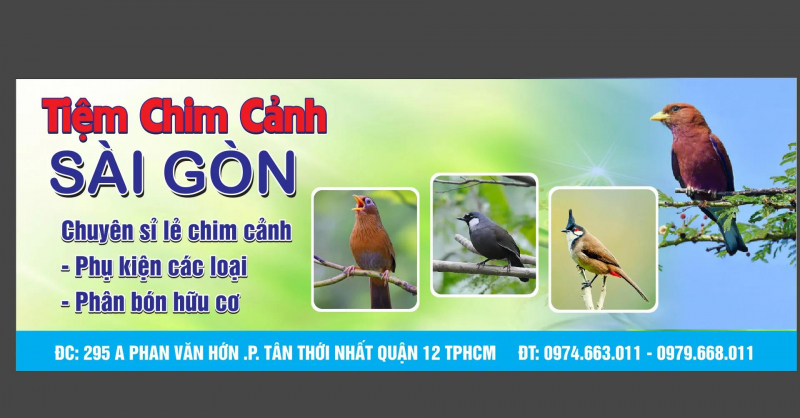 Saigon bird shop