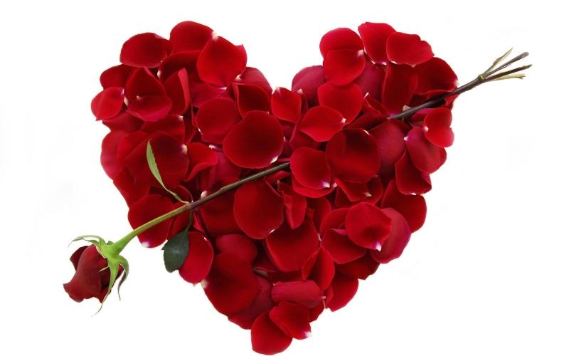 Valentine wishes for those who are no longer lonely