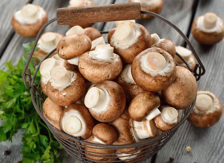 Buy mushrooms at a clean vegetarian supermarket