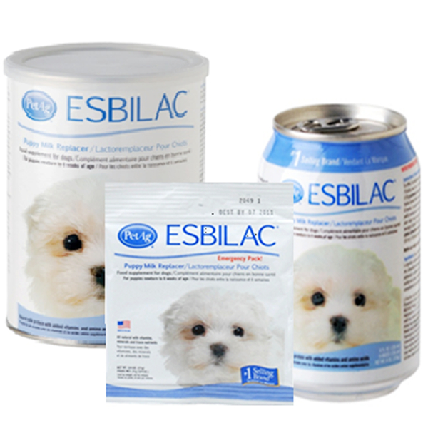 Esbilac powdered milk for puppies