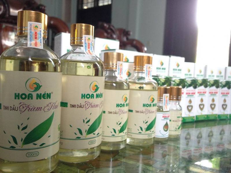 Pure Hue Cajeput essential oil - Hoa Com