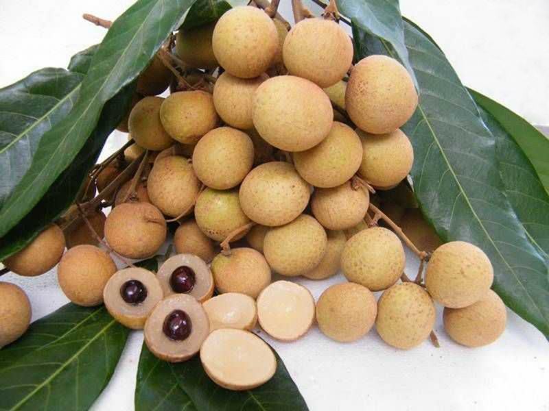 Constipation will get worse when you eat longan