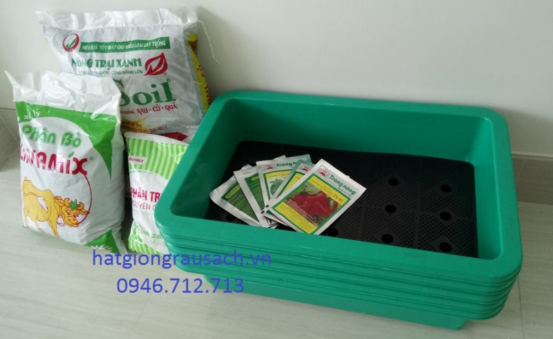 Minh Chau clean vegetable seeds