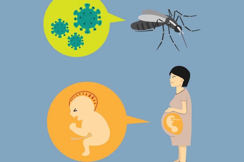 What are the dangers of pregnant women infected with Zika virus?