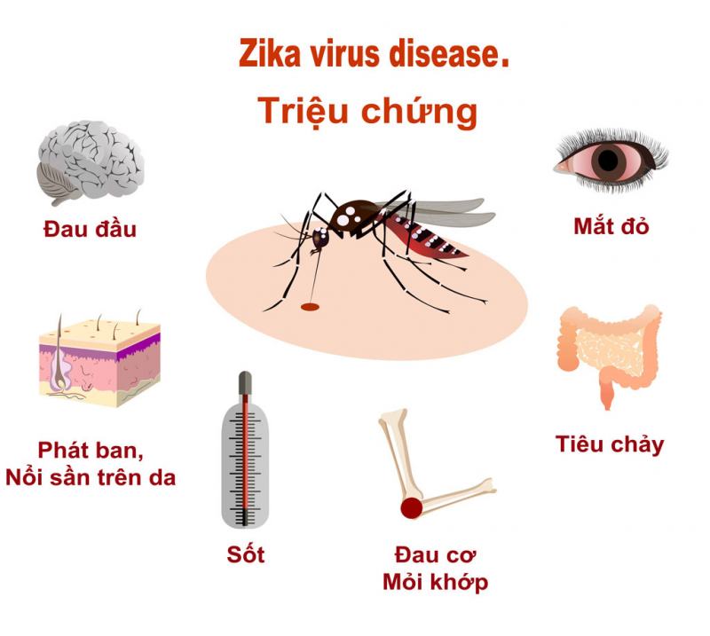 Symptoms of Zika Virus Disease