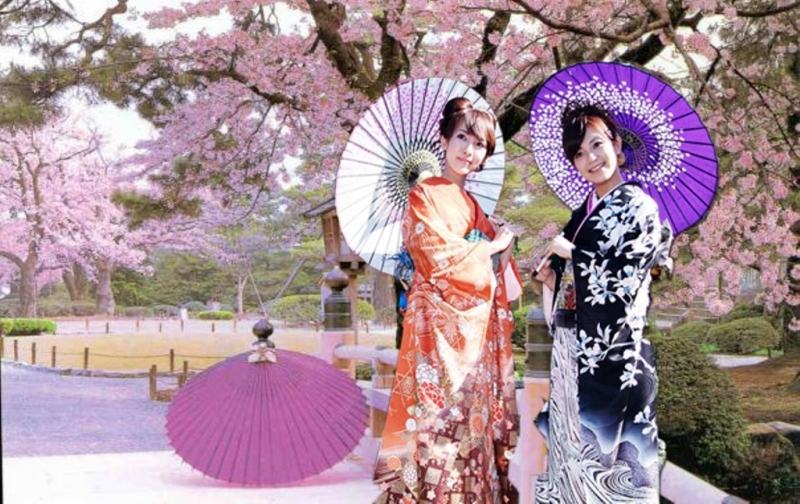 Hanami Cherry Blossom Festival