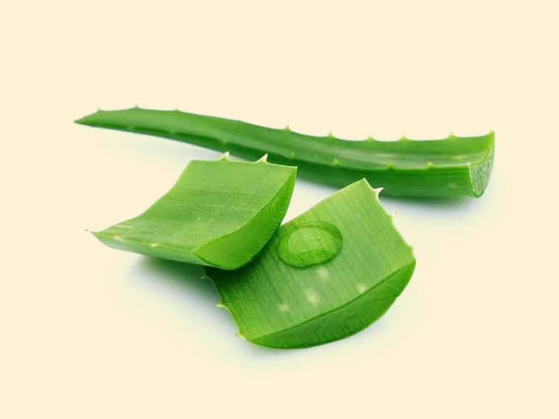 Cure red eye with aloe vera