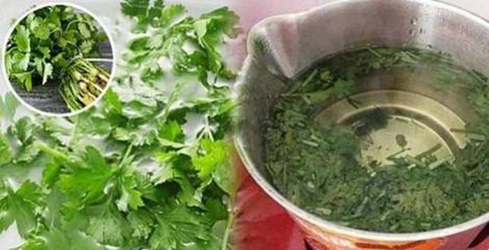 cure red eye with coriander