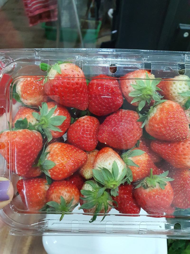 Strawberry Moc Chau Saga