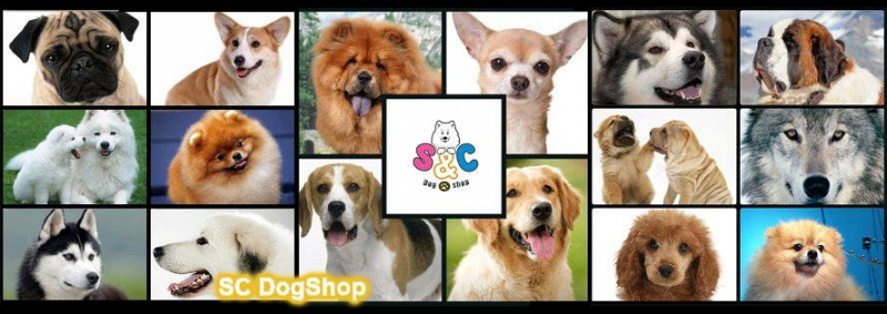 SC Dog Shop