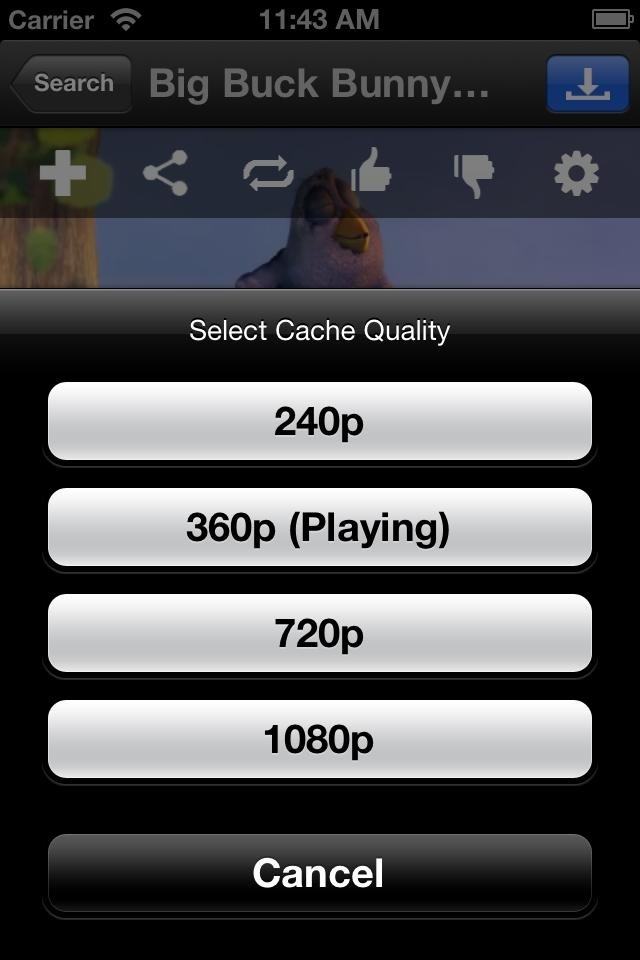 Users can choose the quality of the video before downloading