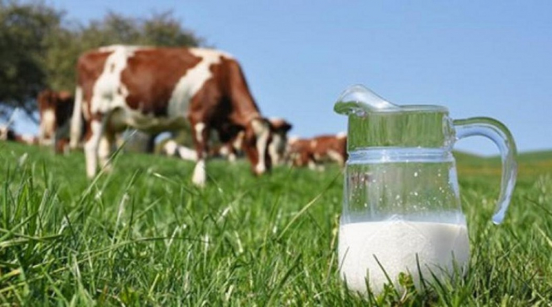 “Natural nourishment” helps Dutch Lady bring good organic milk.