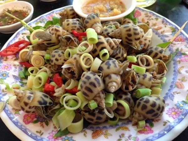 Natural Snail in Nha Trang