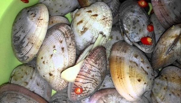 Phan Thiet two-pot clams