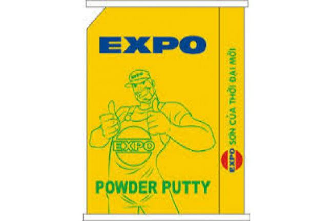 Expo Powder Wall Putty
