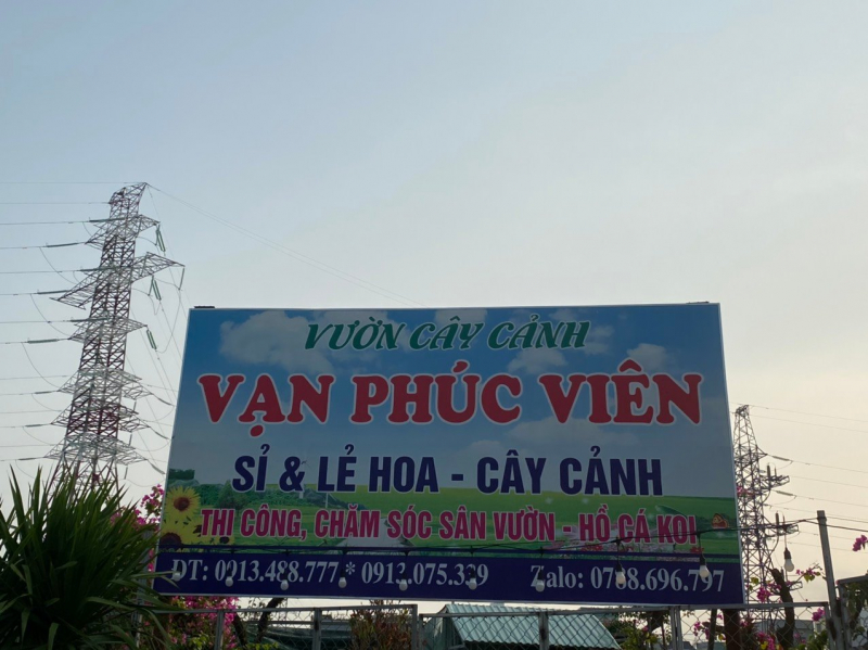 Van Phuc Vien bonsai shop