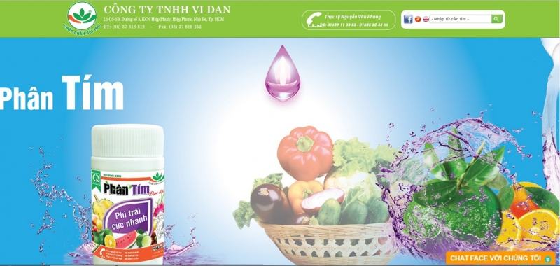Website of ViDan Co., Ltd