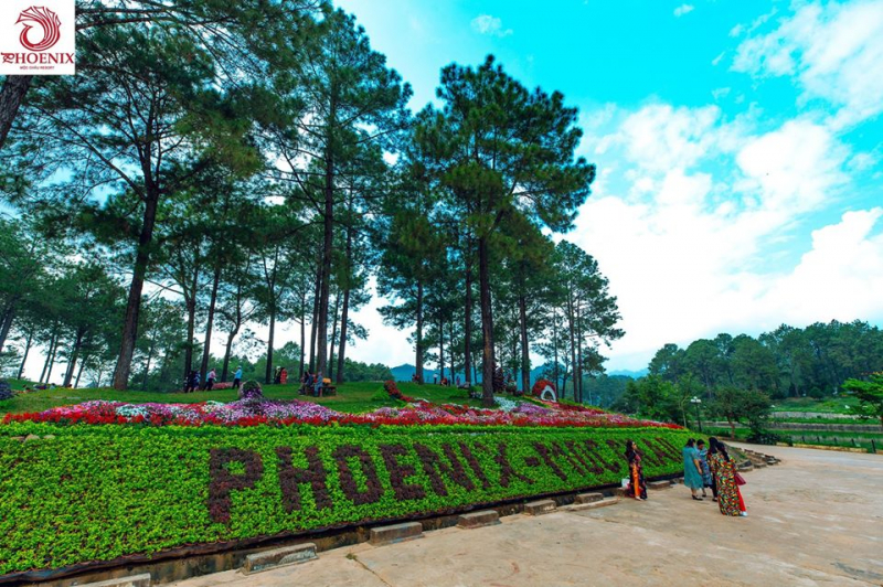Phoenix Moc Chau Resort